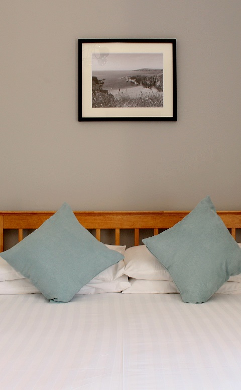 STANDARD DOUBLE/TWIN ROOM
